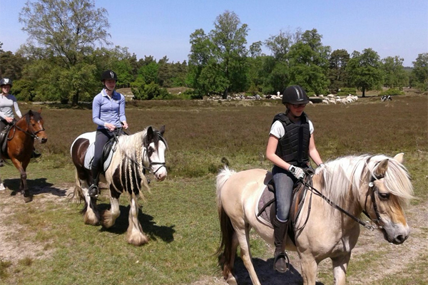 buitenrit ponycentrum manege koopman oosterhuizen lieren