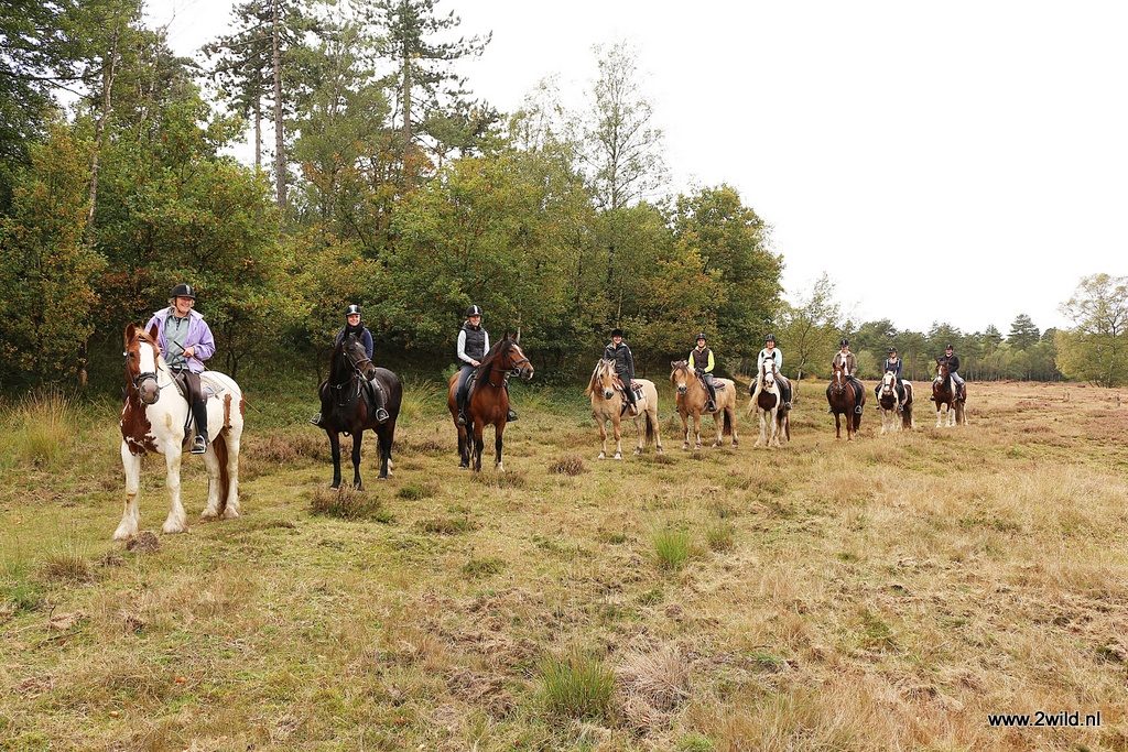 Pony-centrum paarden manege Thea Koopman Lieren Oosterhuizen bosrit buitenrit