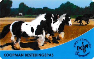 spaarpas-ruitershop-punten sparen voor gratis lessen pony centrum koopman manege oosterhuizen