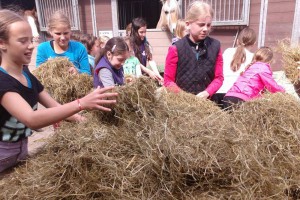 pony centrum koopman oosterhuizen lieren gelderland apeldoorn arnhem dagje manege