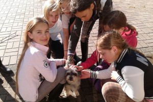 ponycentrum koopman oosterhuizen gelderland nachtje niet slapen manege