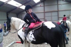 pony centrum koopman oosterhuizen lieren gelderland apeldoorn arnhem dagje manege