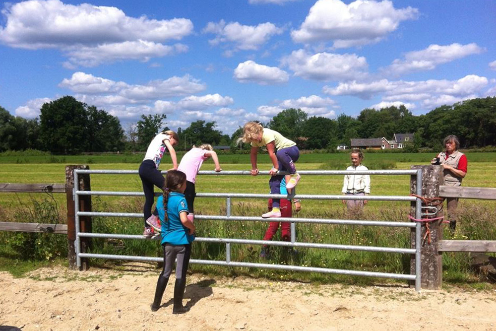 ponycentrum koopman oosterhuizen manege paard pony dagkamp ponykamp